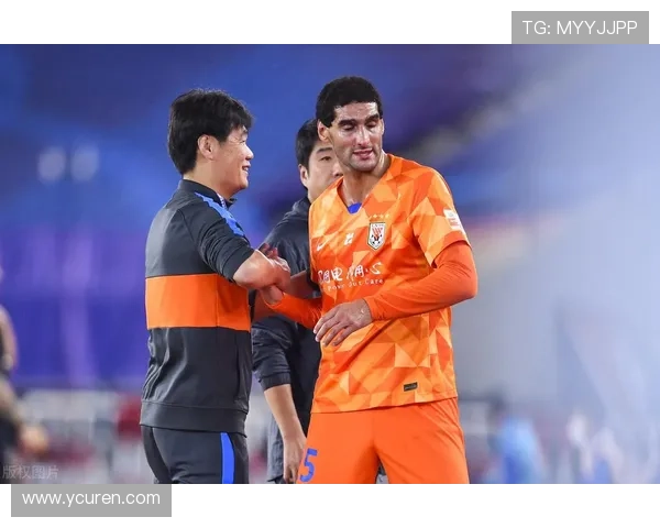 波黑足协呼吁球迷附加赛保持克制